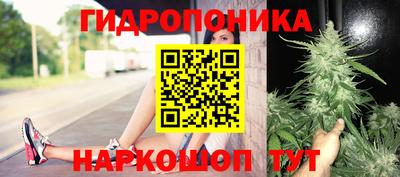 Альфа ПВП Будённовск
