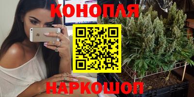 Альфа ПВП Будённовск