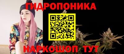 Альфа ПВП Будённовск