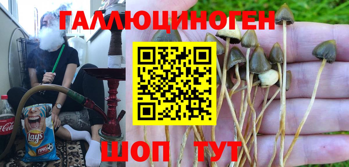 Псилоцибиновые грибы MAGIC MUSHROOMS  Вход с VPN  Новомосковск 